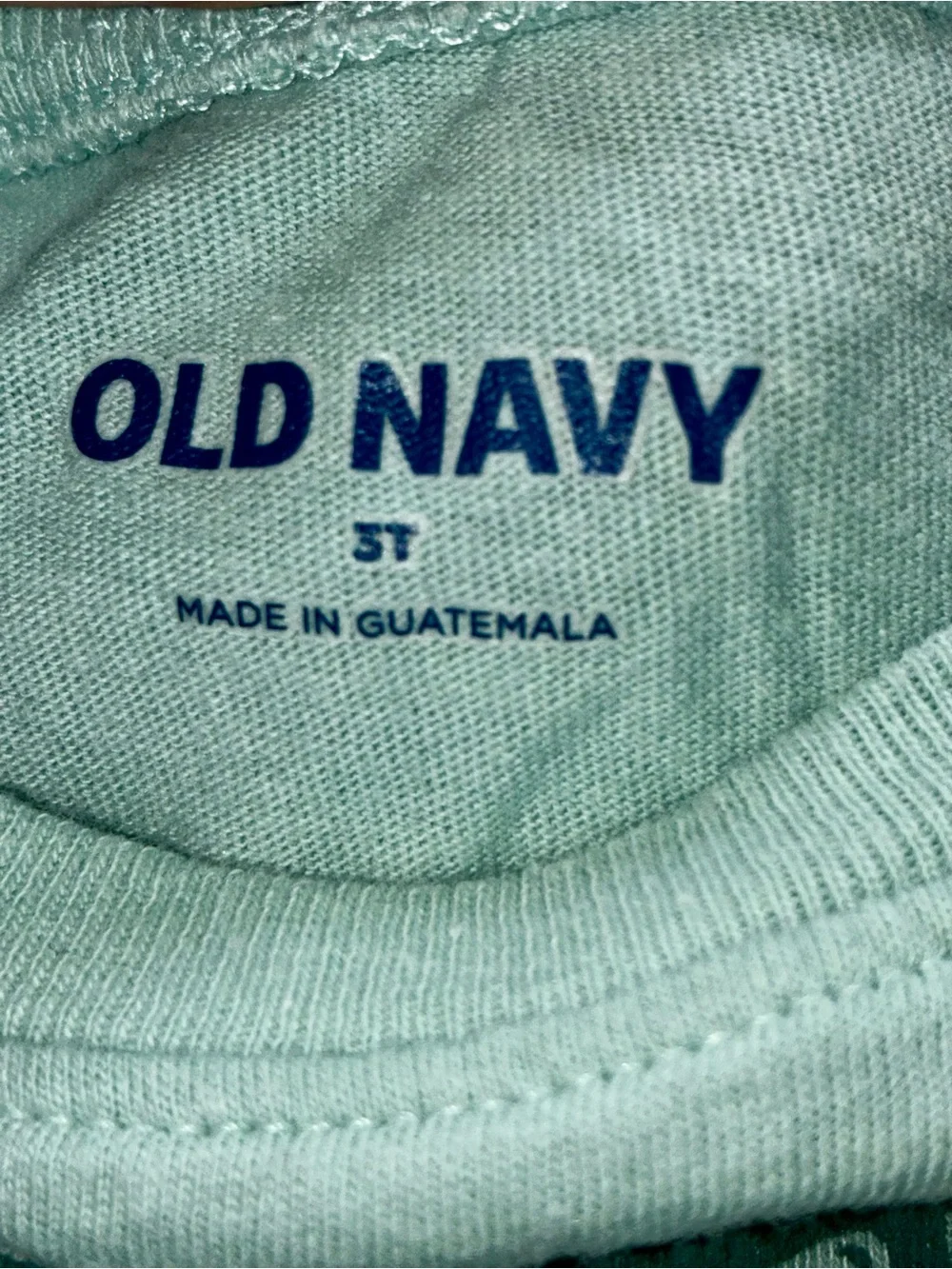 Old Navy Mint Green Camp Crew Long Sleeve Graphic Tee